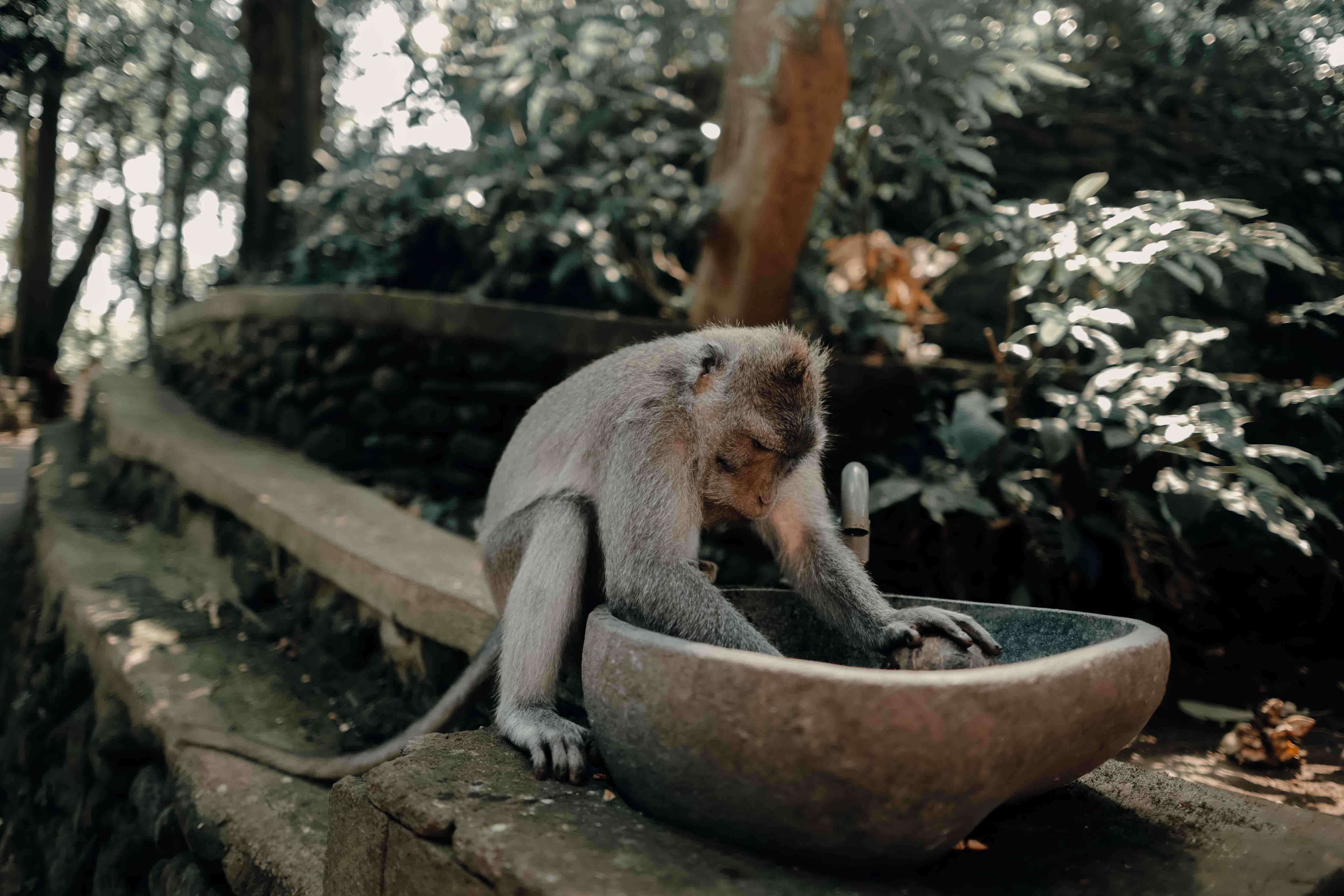 The LUXPREIC lifestyle — Bali